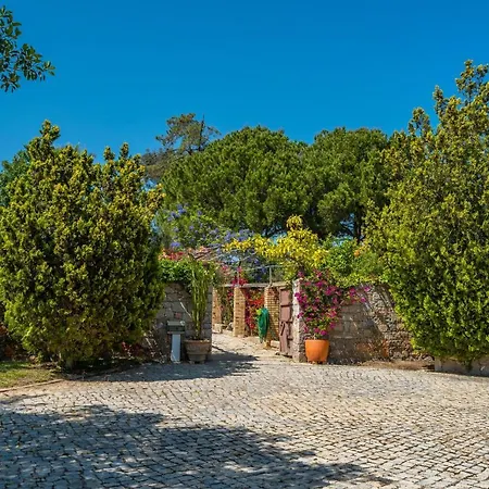Villa Casa Dos Sobreiros - Golden Triangle - Fully Private 4 Bedroom 300 M2 - Private Pool - 1 Hectare Sculpted Garden -wifi And Air Conditioning - Great For Families *