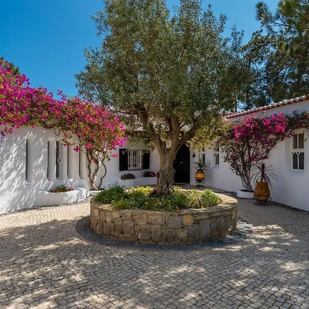 Villa Casa Dos Sobreiros - Golden Triangle - Fully Private 4 Bedroom 300 M2 - Private Pool - 1 Hectare Sculpted Garden -wifi And Air Conditioning - Great For Families *